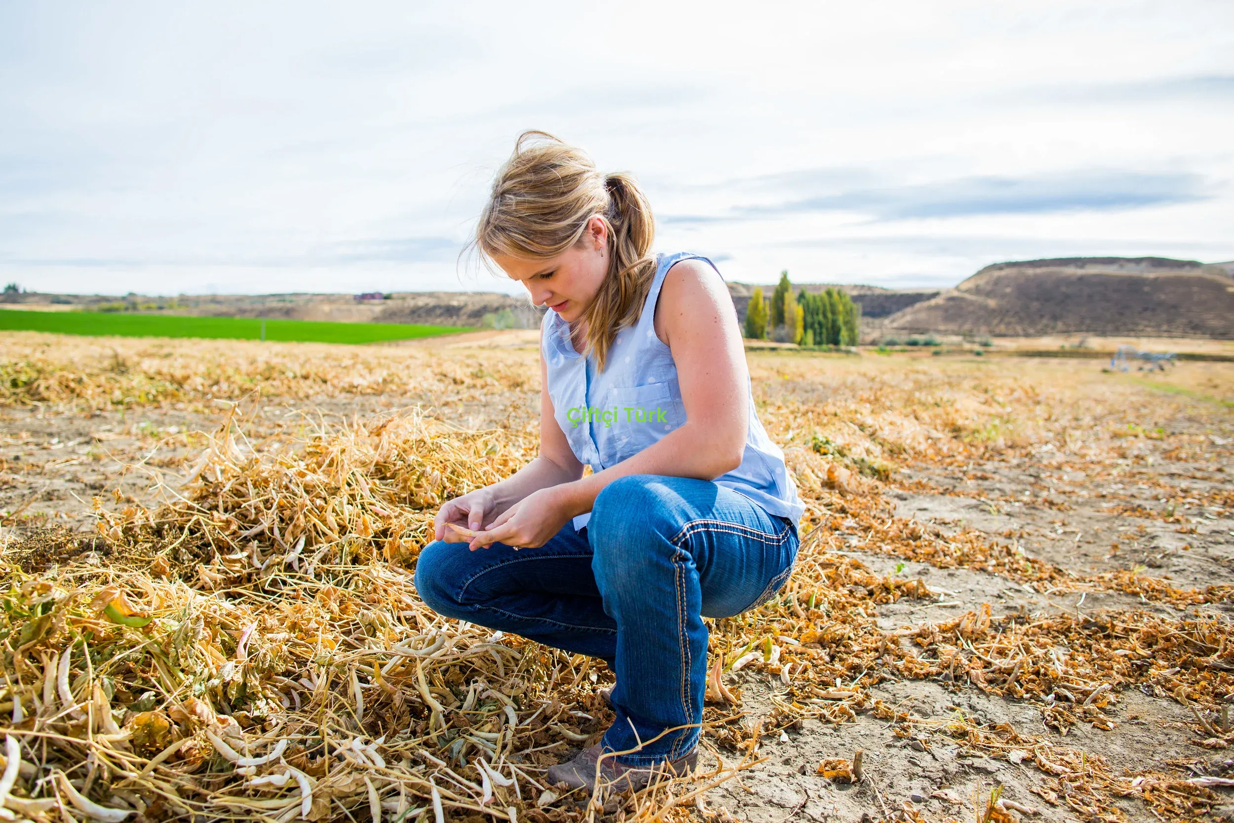 Kadın Çiftçi Destekleri Nelerdir Nasıl Başvurulur?